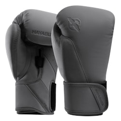 Hayabusa T360 Boxing Gloves